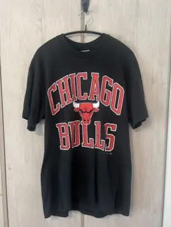 STEDMAN【L】USA製 90s ビンテージTシャツのサムネイル