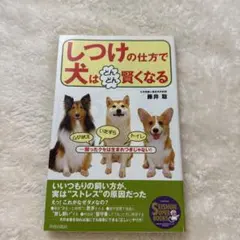 Item thumbnail for item b3b774a9-7c22-499e-b8f1-f08b7e5e30ad