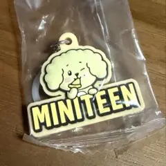 SEVENTEEN ドギョム MINITEEN ドア めじるしアクセサリー