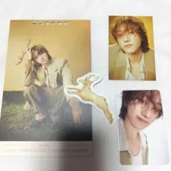 SEVENTEEN 2026 シーグリ THE8