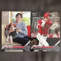 【世界5枚限定】大谷翔平　LEAF L オレンジリフラクター 世界5枚限定】大谷翔平 LEAF METAL オレンジリフラクター - メルカリ