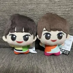 おかあさんといっしょ ちびぐるみ あづきお姉さん ゆういちろうお兄さん 2種