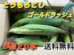 とうもろこし ゴールドラッシュ B品 20本のサムネイル