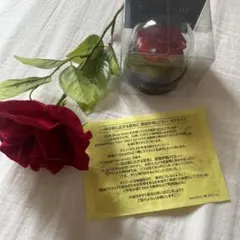 sexyzone 10周年記念品