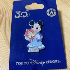 2026年最新】ディズニー30周年ピンバッチの人気アイテム - メルカリ