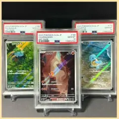 連番！フシギダネ ヒトカゲ ゼニガメ AR【PSA10】151 御三家