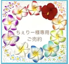 ちぇりー様 リクエスト 2点 まとめ商品