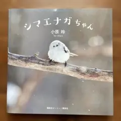 写真集 シマエナガちゃん 小原玲
