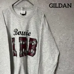 GILDAN ギルダン トレーナー Lady Rabbit バスケット M