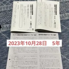 日能研　2023年　新5年生　前期育成テスト　第10回〜第19回　解答付き 日能研5年生総括〜育成テスト成績推移〜 - ちゅりぷ子の