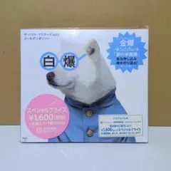 ゴールデンボンバー　ザ・パスト・マスターズ vol.1　CD　アルバム