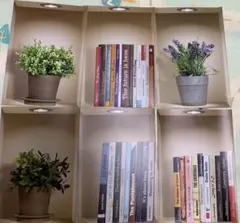 Item thumbnail for item 0cab05f9-6373-4ef0-851e-0e19b1b4f935