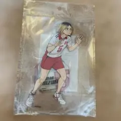 ハイキュー　孤爪研磨　アクリルスタンド