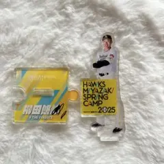 福岡ソフトバンクホークス　若鷹ガチャ　タカコレ　春季キャンプ　アクスタ　柳田悠岐