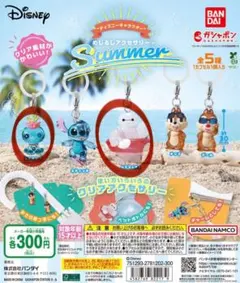 ディズニー めじるしアクセサリー Summer 2個セット