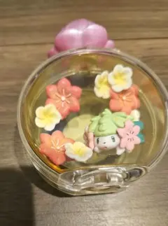 2026年最新】ポケモン petite fleurの人気アイテム - メルカリ