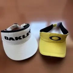 Item thumbnail for item 416c7d95-2258-434d-b149-ba1ba164ed3a