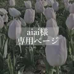 aiai様 専用ページ