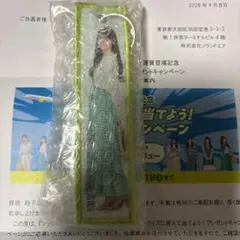 ソラシドエア 藤嶌 果歩 日向坂46 フライトタグ グッズ 非売品 - メルカリ
