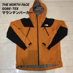 THE NORTH FACE GORE-TEX マウンテンパーカー