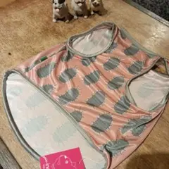 inoo 虫模様スカートタイプペット服 Mサイズ