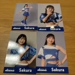 2026年最新】diana ベイスターズ sakuraの人気アイテム - メルカリ