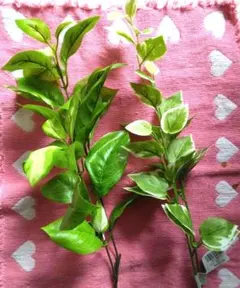 Item thumbnail for item 85b2d748-bcd6-4a02-813c-858caed55f0d