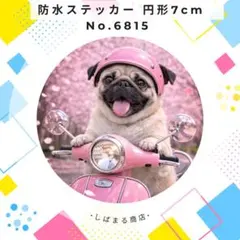 Item thumbnail for item 3993f25e-c6a6-48a8-8b85-e446b8ea03ae