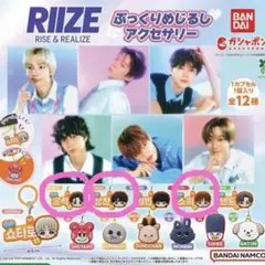 Item thumbnail for item 461a5180-b691-4b41-965a-789b2a2fcc12