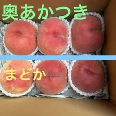 桃　奥あかつき　まどか　詰め合わせ　家庭用　大玉　3.1キロのサムネイル