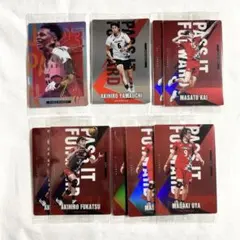 バレーボール 日本代表 ウエハース 第一弾