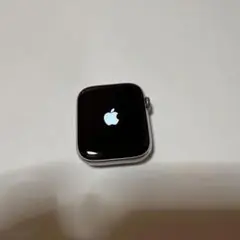 Apple Watch 4 44mm シルバーステンレス