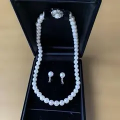 Item thumbnail for item c8aa57e6-32b8-4fce-888e-b8b4b3d88b2e