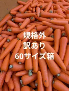 「規格外／訳あり」人参　60サイズのサムネイル