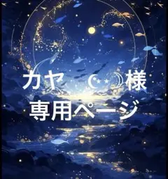 カヤ　☪︎⋆☽様専用ページ