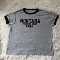 Champion チャンピオン Tシャツ MONTANA グレー BAYFLOW