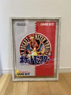 【ポケモン】 キャンバスアート布製 リザードン30cm×40cm