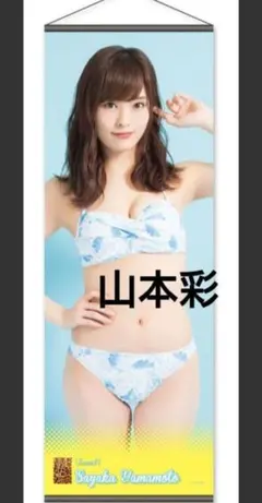 2026年最新】山本彩 タペストリーの人気アイテム - メルカリ