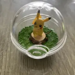 ポケモン　テラリウムコレクション
