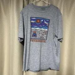 PATAGONIA キャプリーンクールデイリーTシャツ Lサイズ