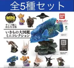 いきもの大図鑑 サンゴ礁に住む生き物 全5種コンプリートセット【p】