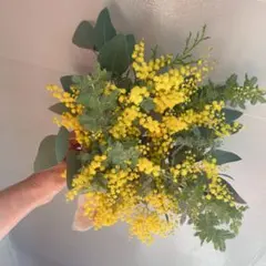 Item thumbnail for item a42b1076-984a-45a9-9b07-dbee95d6ce84