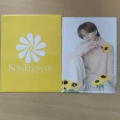 FANTASTICS FANTA 中島颯太　SUNFLOWER トレカ