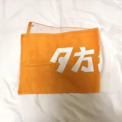 夕方と猫 タオル