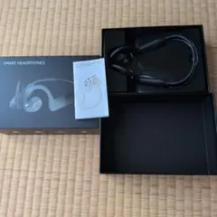新品未使用セミワイヤレスピヤホン2 HSE-SW001-pnk/HU-EP003 - メルカリ