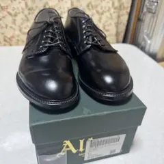 未使用 Alden 56050 コードバン 6D 別注のサムネイル