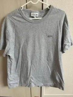 LACOSTE ラコステ Tシャツ グレー