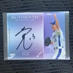 Item thumbnail for item 1eef128e-a2c6-4606-909c-3a24faf4a6b4