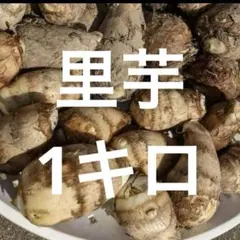 2025年最新】里芋の種芋の人気アイテム - メルカリ