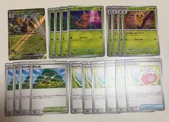 ポケモンカード　スピアー　進化ライン　活力の森　むしとりセット